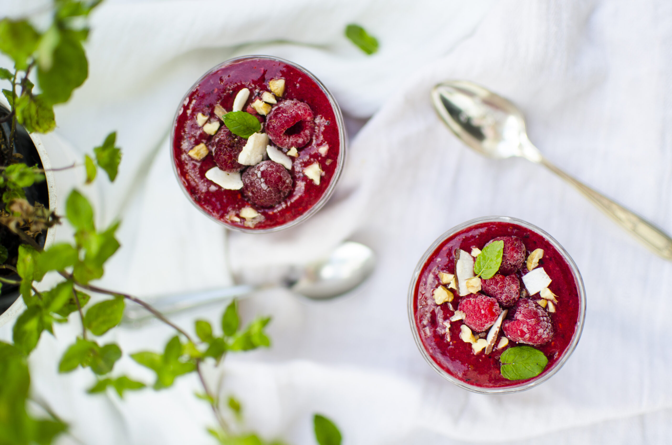 Food & gastro 29